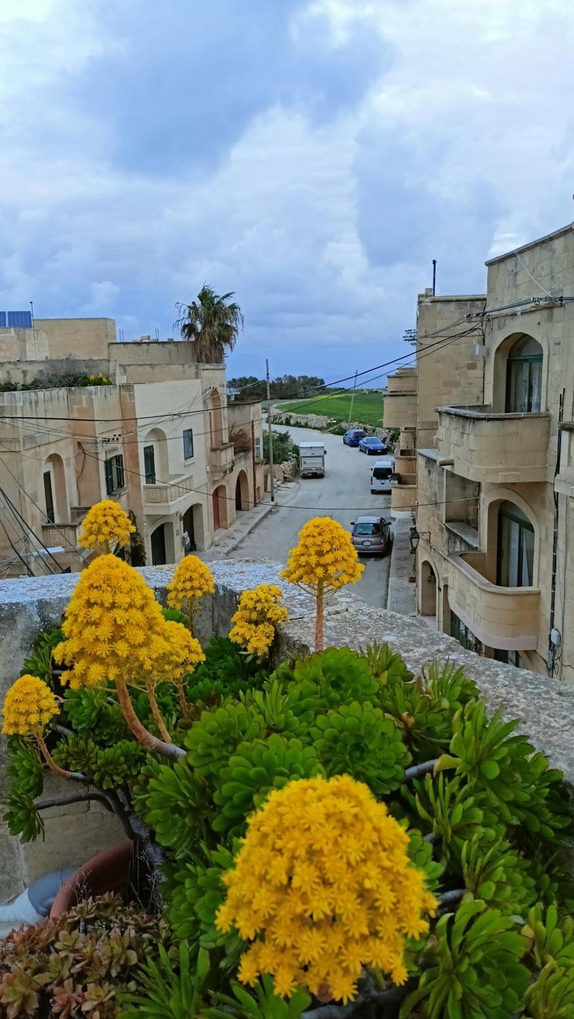 Arthome - Guest Rooms Għarb Eksteriør bilde
