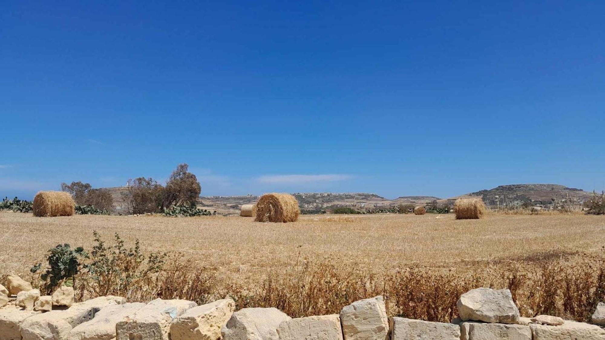 Arthome - Guest Rooms Għarb Eksteriør bilde